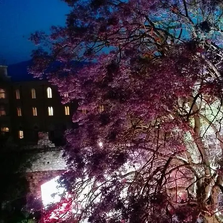 Akropolis 住宿加早餐酒店 3*