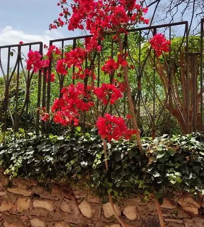 Akropolis 3* 陶尔米纳